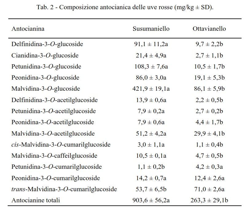 composizione antocianica uve rosse