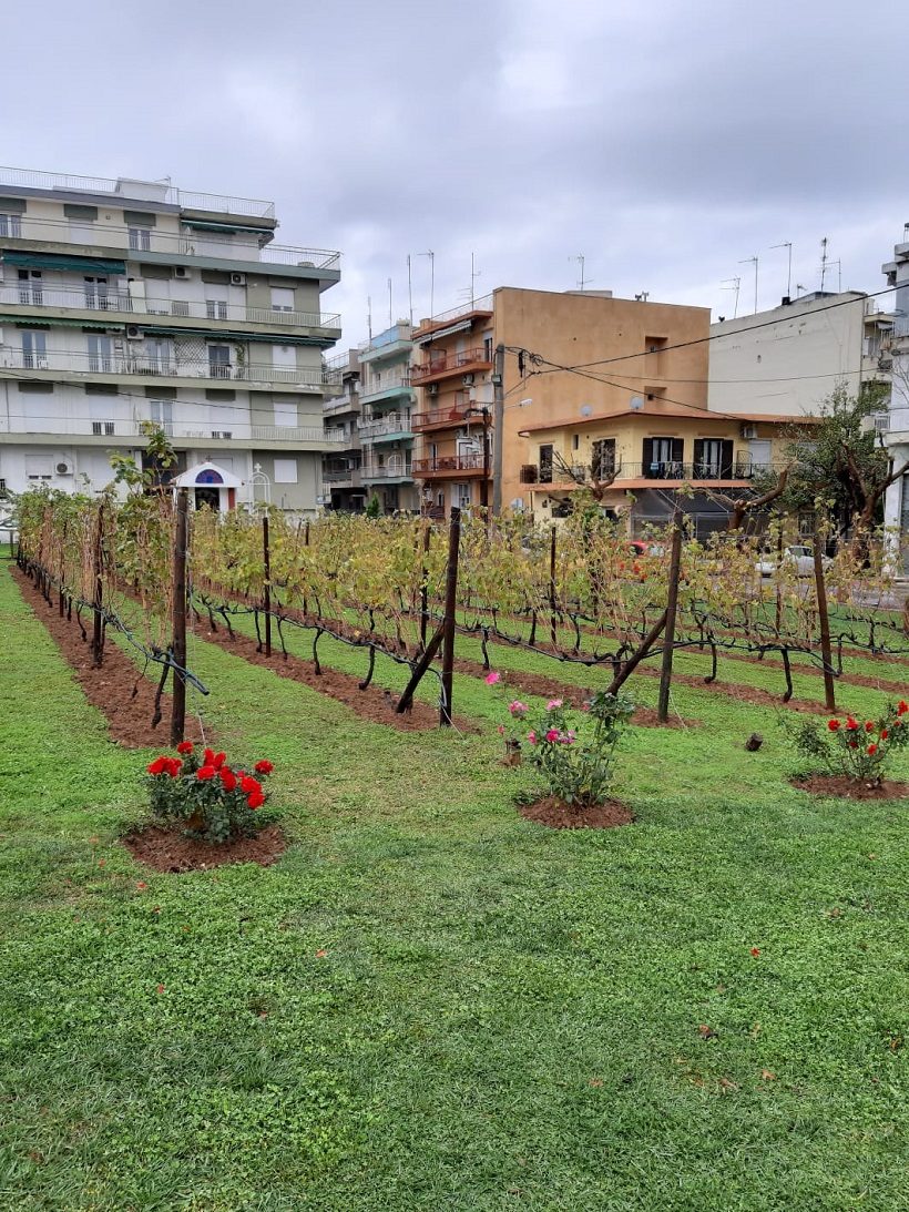 domanda ruralità paolinelli