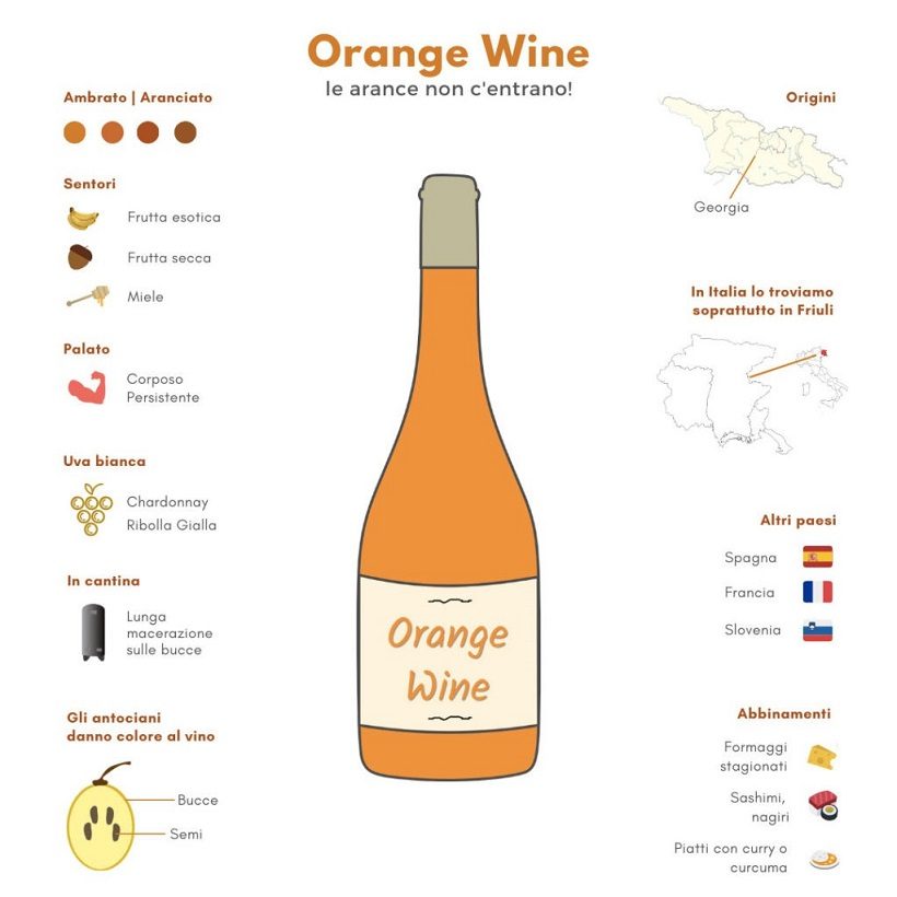 infografica orange wine