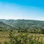 Colli Euganei