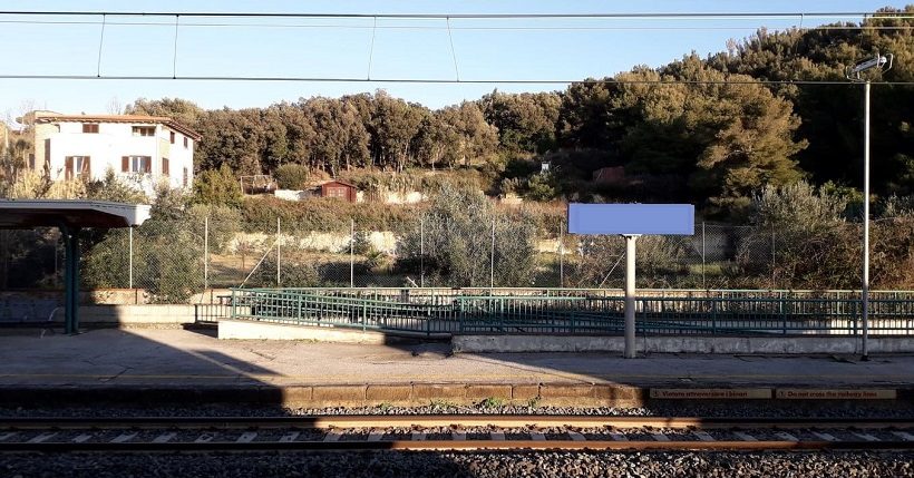 terreno conversione bosco coltivazione 