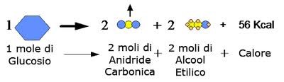 fermentazione alcolica reazione