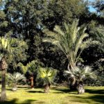 Alla scoperta dell’Orto Botanico di Portici