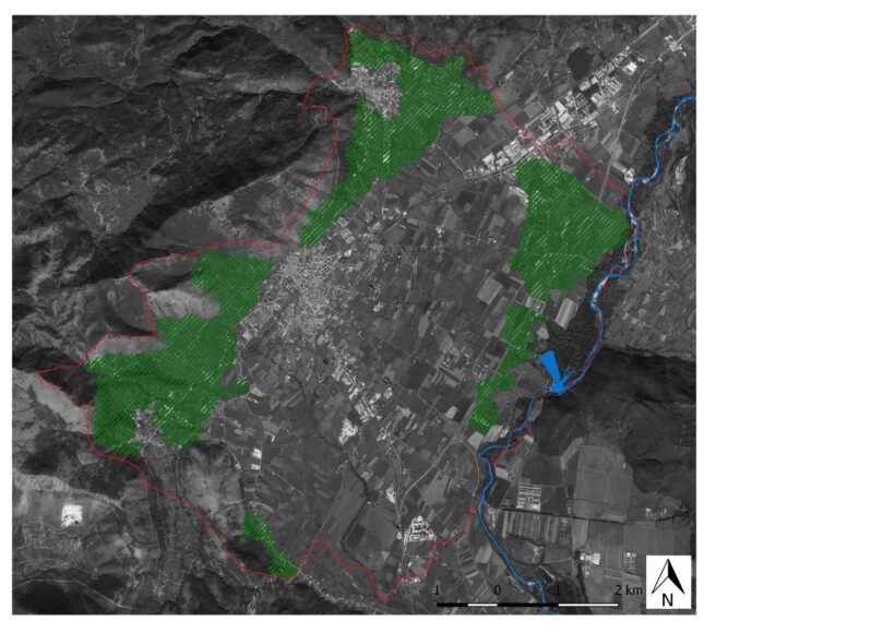 Attuale presenza di oliveti nel territorio dei comuni di Venafro 