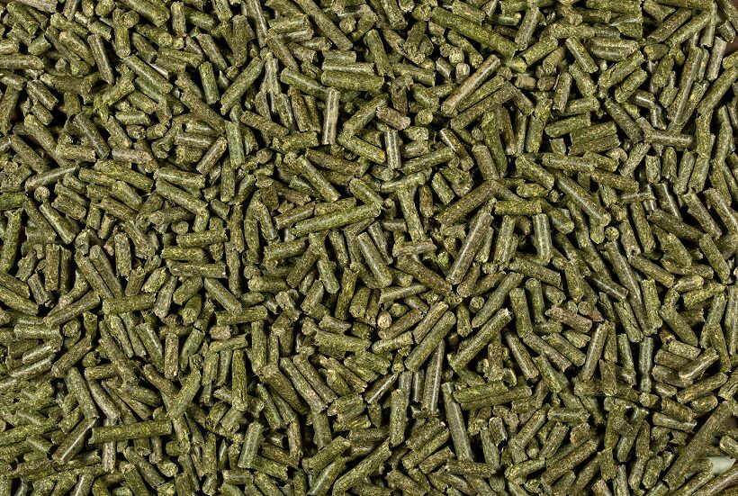 pellet erba medica modifiche