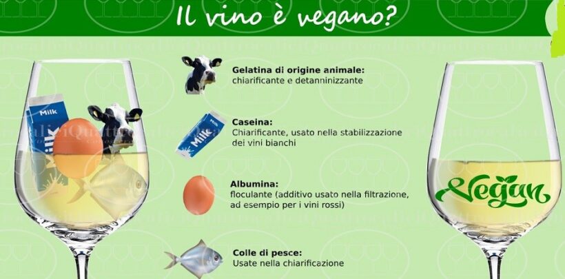 Caratteristiche vini vegani