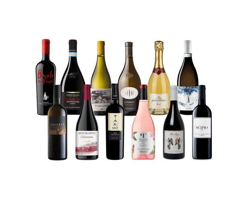 Tredici vini per brindare ai papà