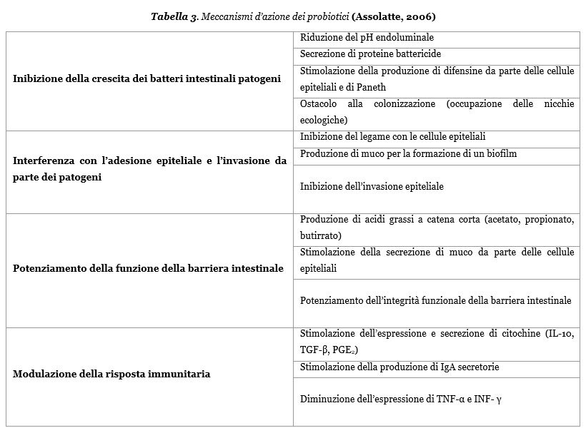 Meccanismi dei probiotici