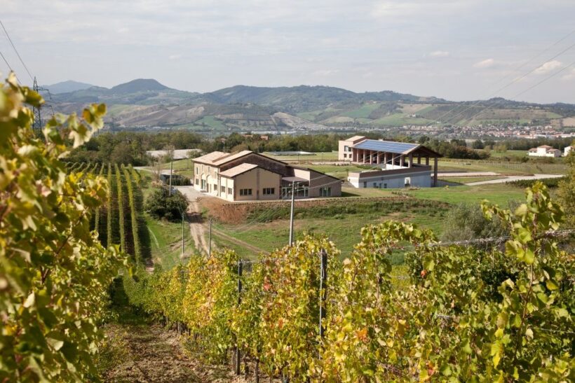 Monte delle Vigne