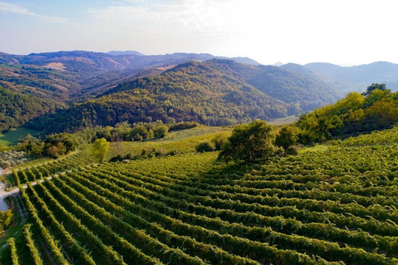 Terre Matildiche