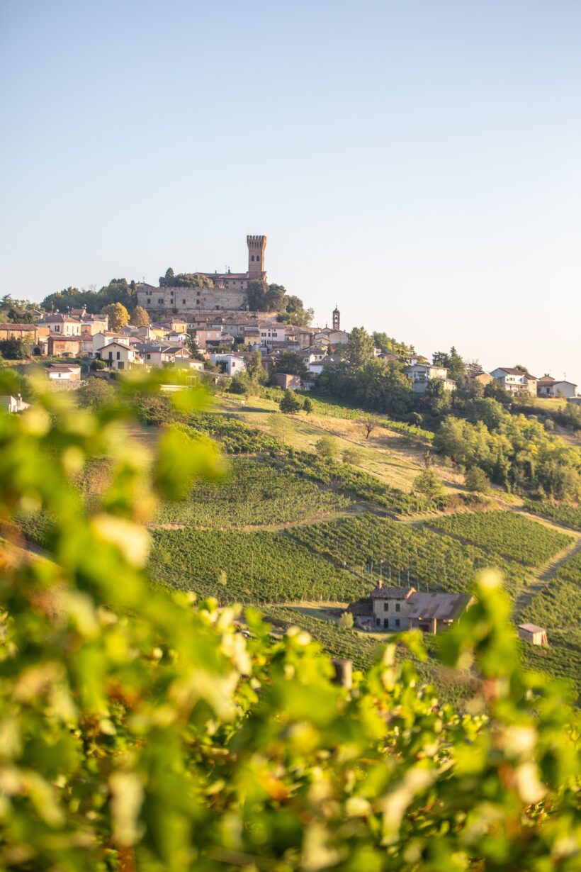 Castello di Cigognola