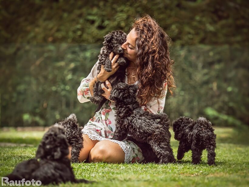 cuccioli di Pumi