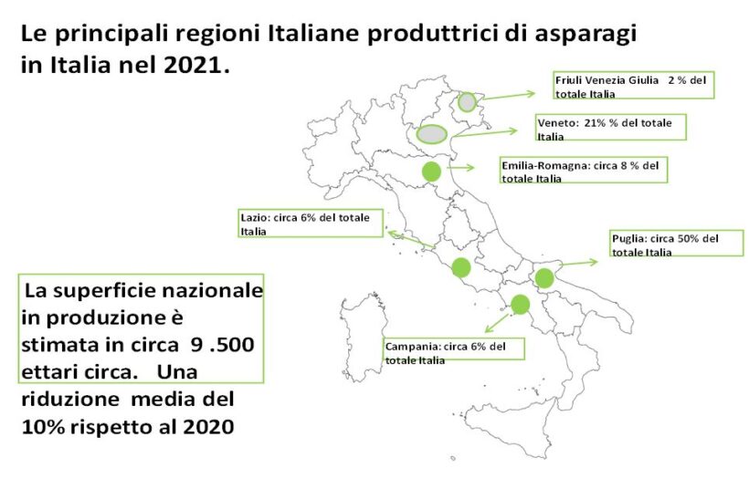 Produzione di asparago in Italia