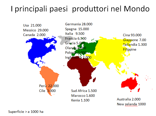 Produzione Mondiale di asparago