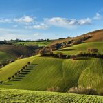 Sostenibilità in agricoltura: valutare e certificare i sistemi produttivi con l’impronta ecologica