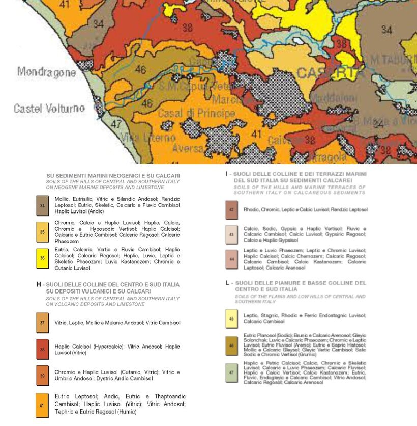 Carta geologica