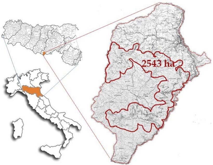 Indicazione geografica