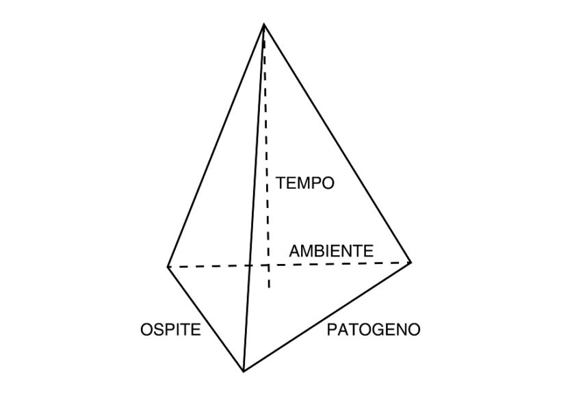 Piramide di malattia