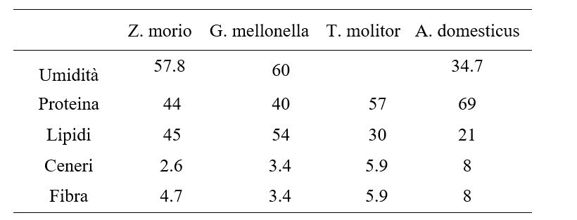 Valori nutrizionali insetti