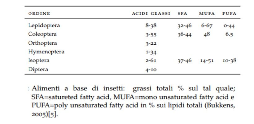 Lipidi negli insetti