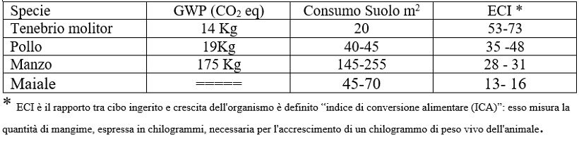 Sostenibilità insetti