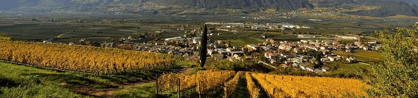 Panorama su vigneti collinari