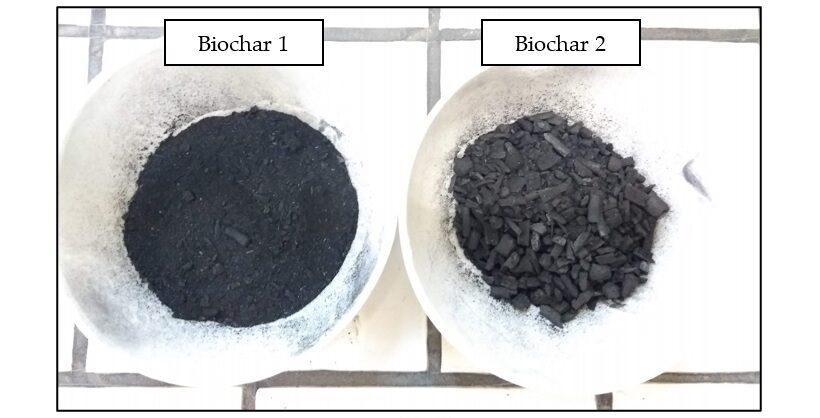 Diversi biochar