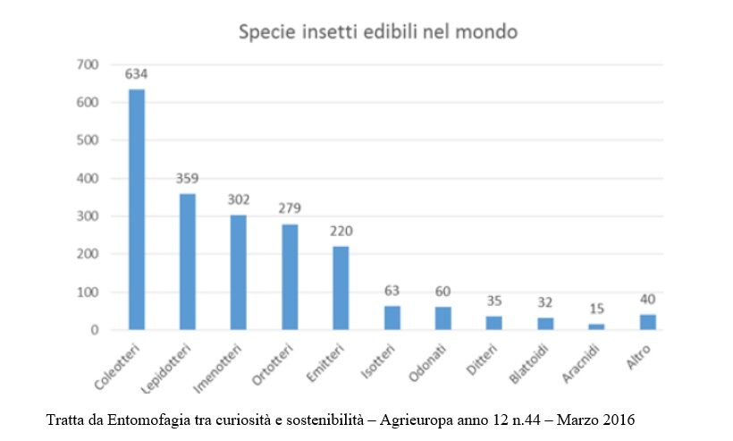 Specie di insetti nel mondo