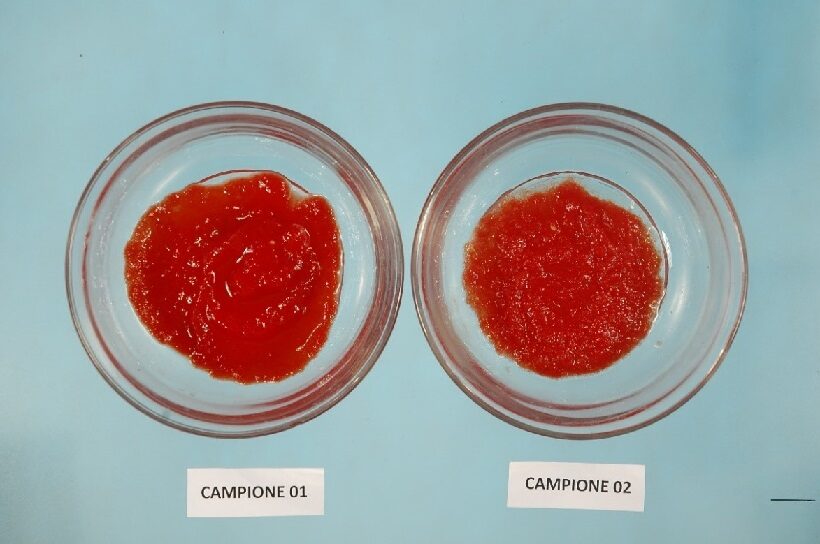 Campioni passate di pomodoro