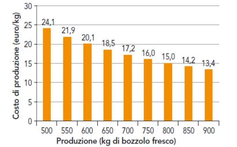 Produzione in kg di bozzolo fresco