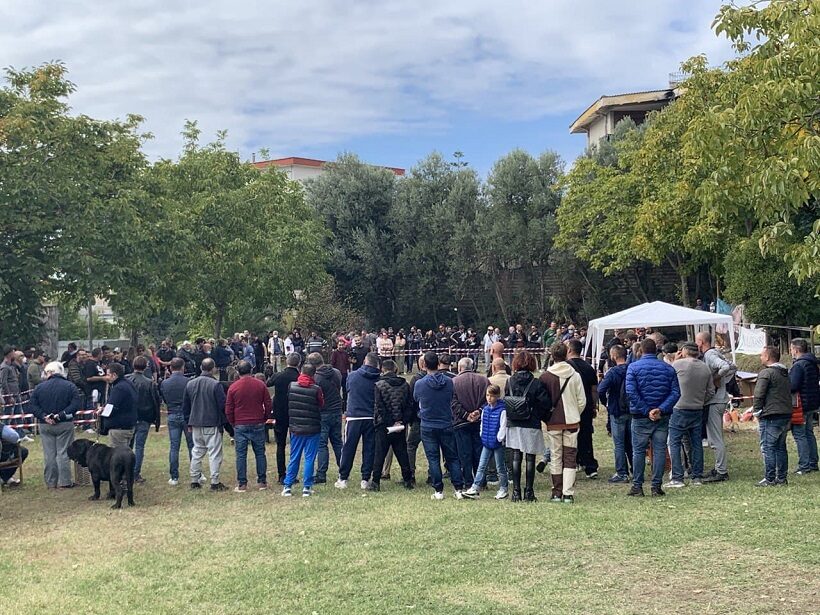 Pubblico a bordo ring durante i campionati