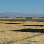 Gestione agronomica dei residui colturali: effetti dell’interramento delle stoppie di frumento sulle proprietà fisiche e idrauliche di un suolo argilloso