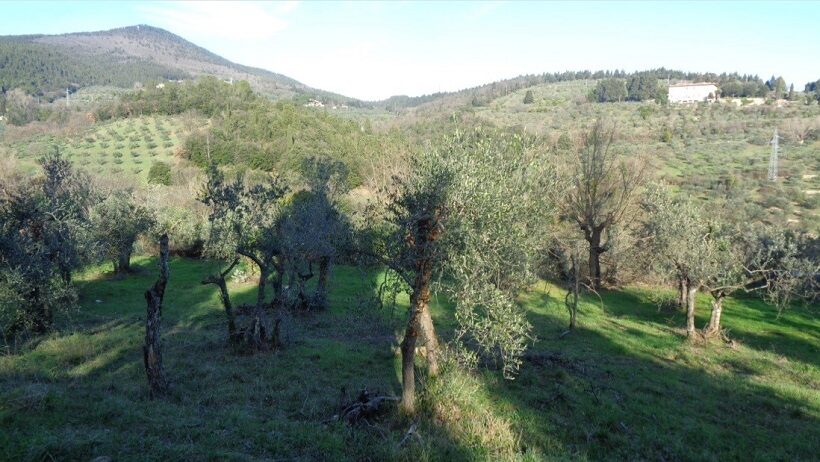 Paesaggio di Monte Morello