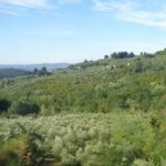 Valutazione paesaggistica del bacino del Torrente Terzolle, città metropolitana di Firenze