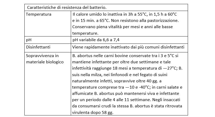 Caratteristiche del batterio