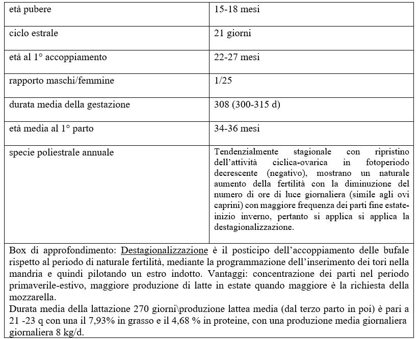 Caratteristiche produttive