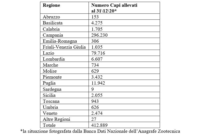 Statistiche filiera bufalina