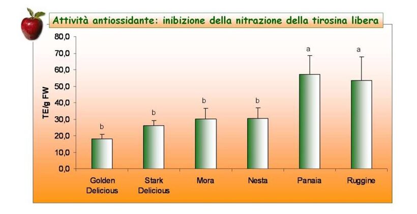 Attività antiossidante delle mele