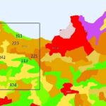 Affidabilità delle cartografie da aerofotointerpretazione – parte seconda