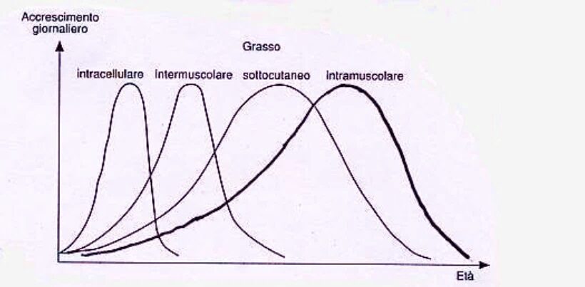 Curve di accrescimento giornaliero