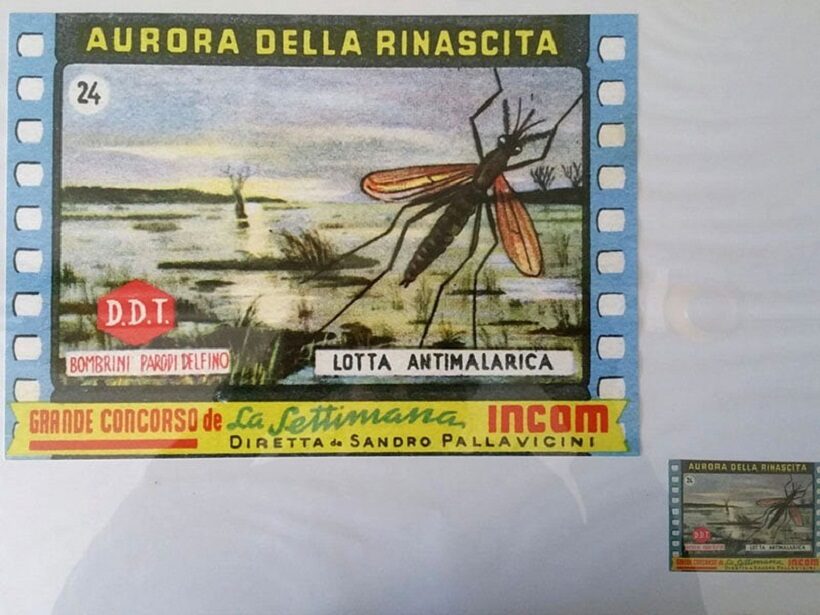 DDT contro la malaria