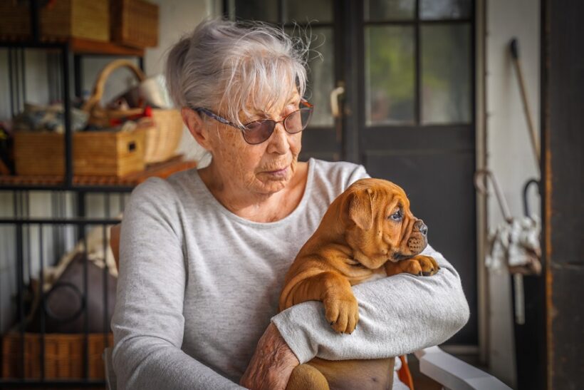 La Sig.ra Imelda Angehrn, con Pickwick Bumblebee