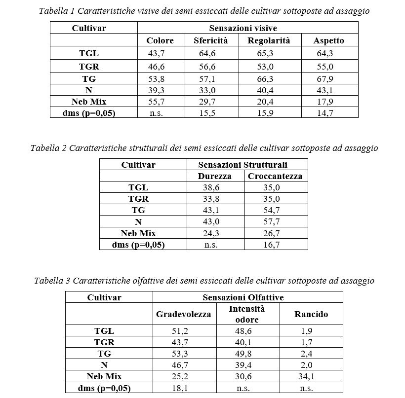 Caratteristiche visive e strutturali dei semi