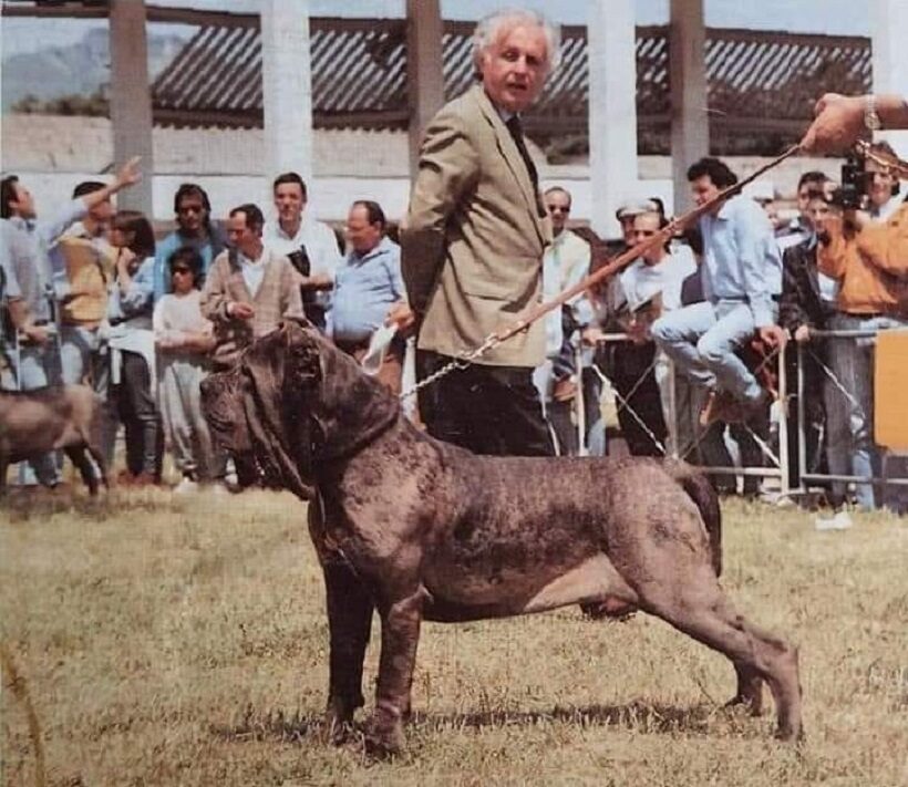 Mostra d'Oltremare di Napoli 1990