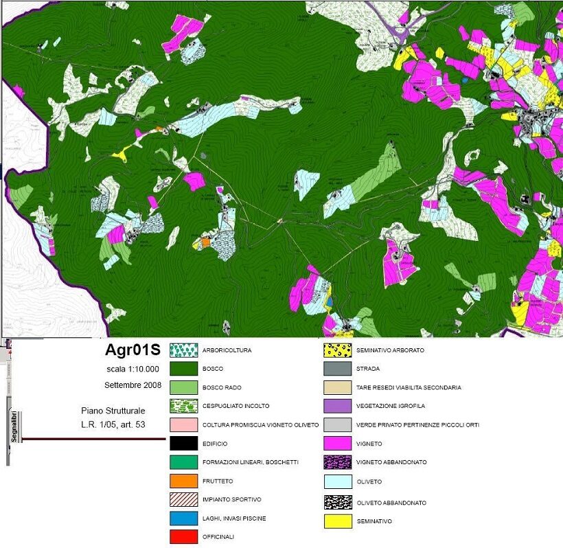 Carta della Vegetazione 