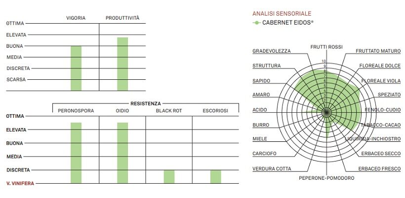 Profilo sensoriale di Cabernet Eidos