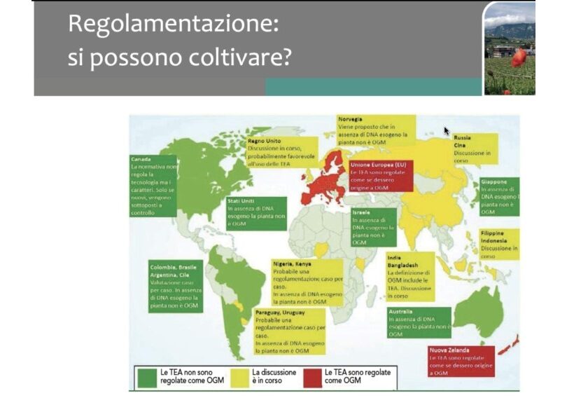 Mappa geografica PIWI