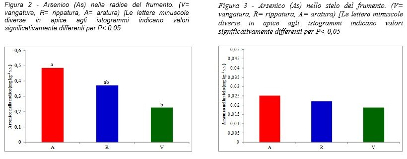 Grafici quantità arsenico