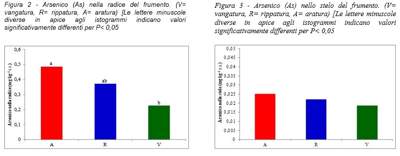 Grafici quantità arsenico