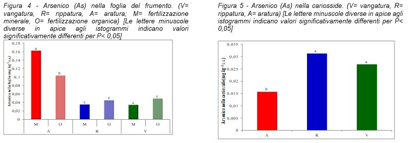 Grafici sperimentazione arsenico